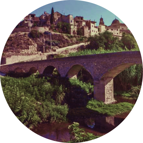 circulo5